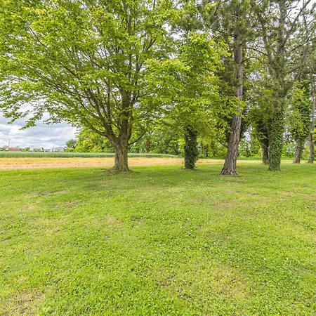 La Maison Des Roses 度假居