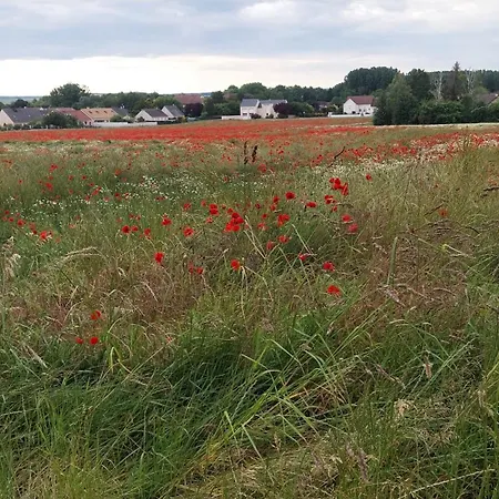 La Maison Des Roses 度假居